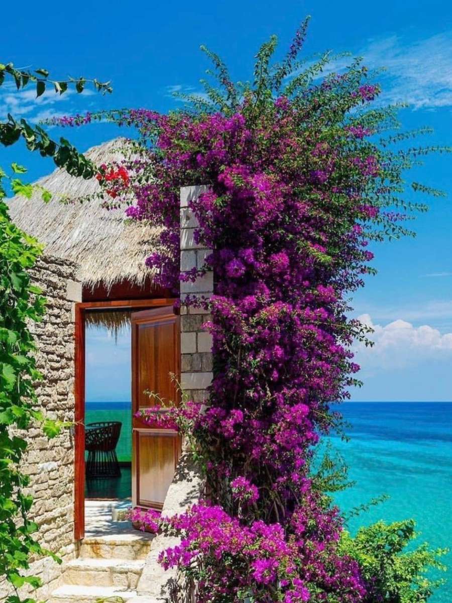 Bougainvilleas puzzle online