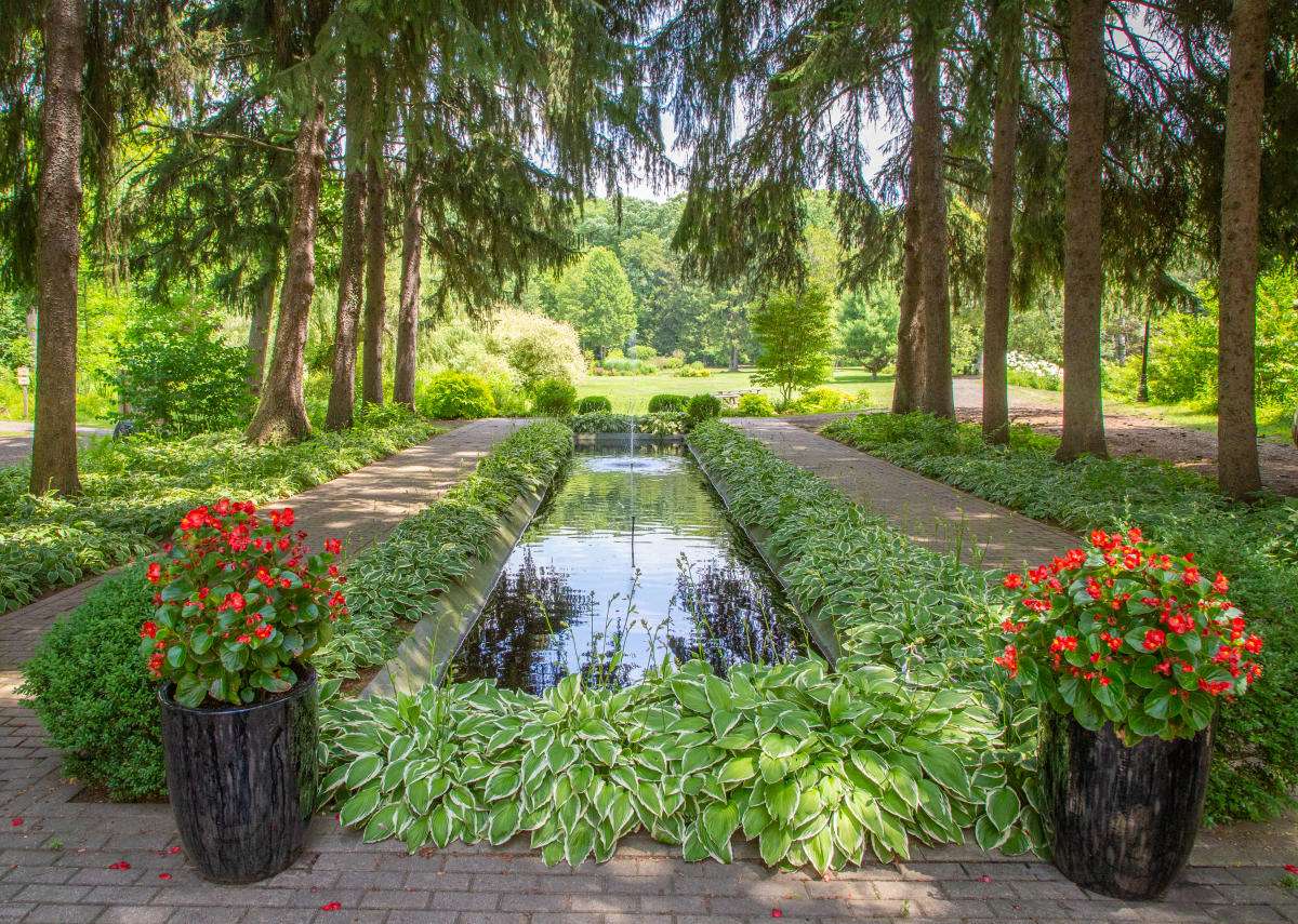 Przyjaźń Botaniczny ogród puzzle online