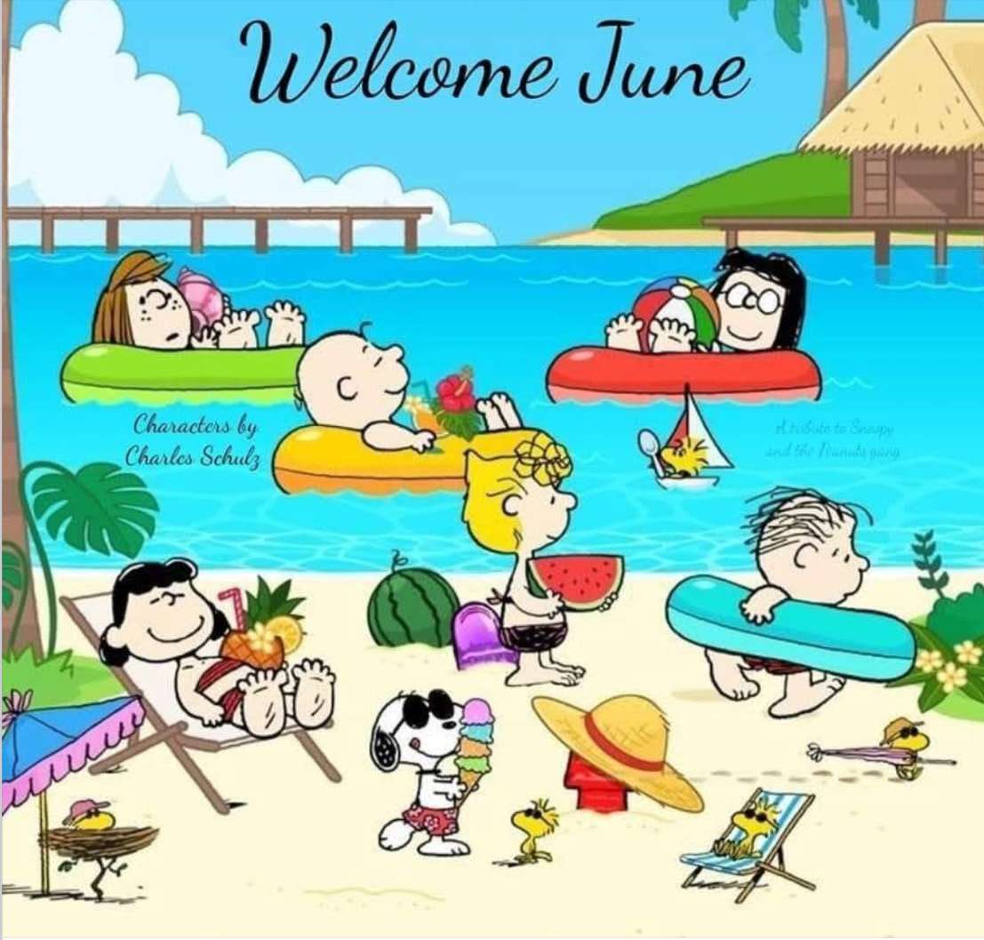 Na plaży z Chuckiem i jego przyjaciółmi puzzle online