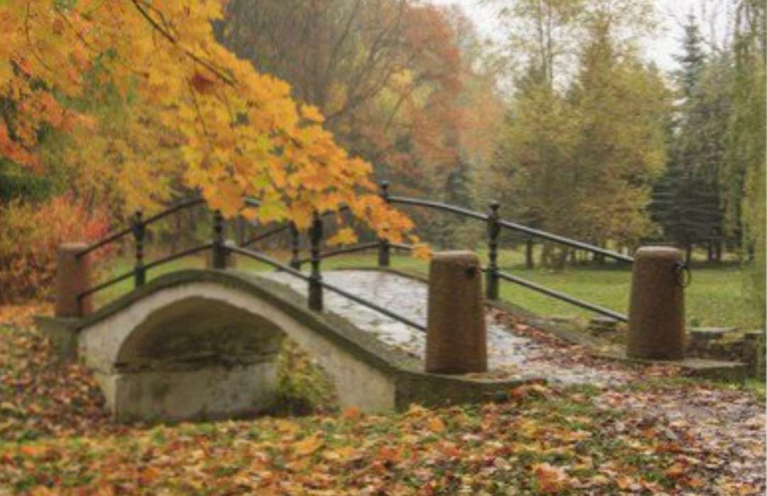 Jesienny Widok puzzle online