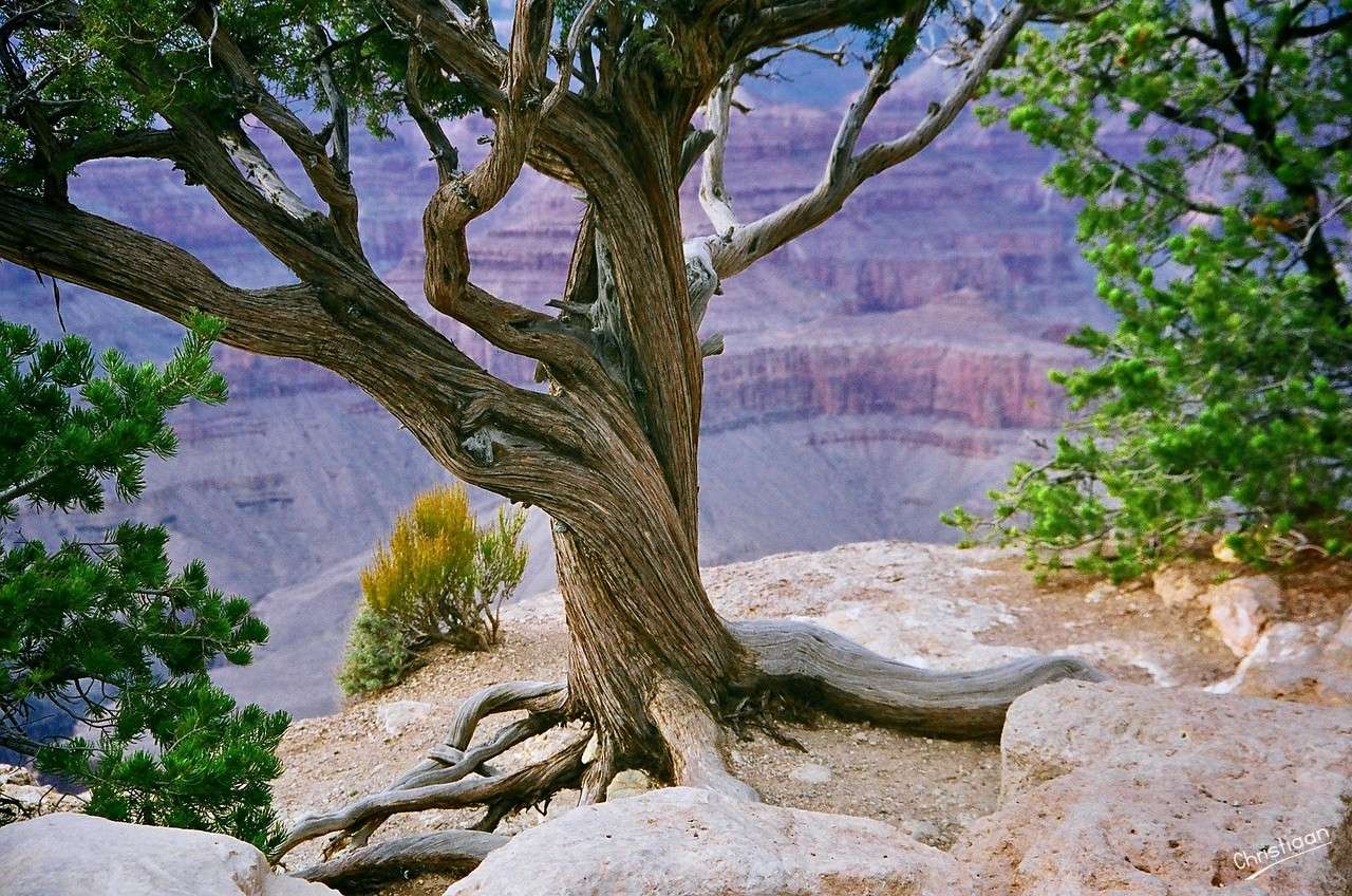 Grand Canyon, Ravijn, Valley. puzzle online