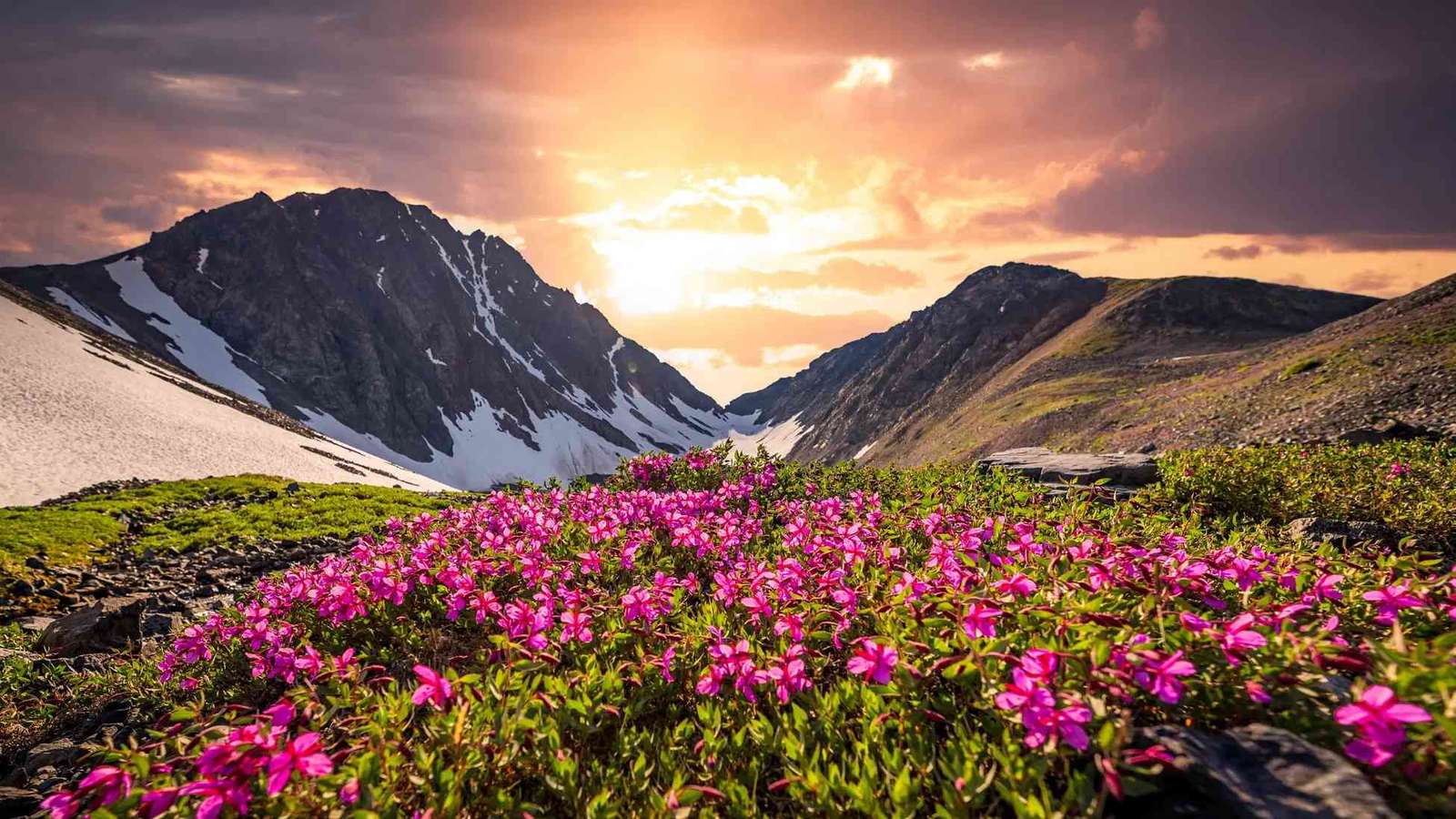Dolina kwiatów Uttarakhand puzzle online