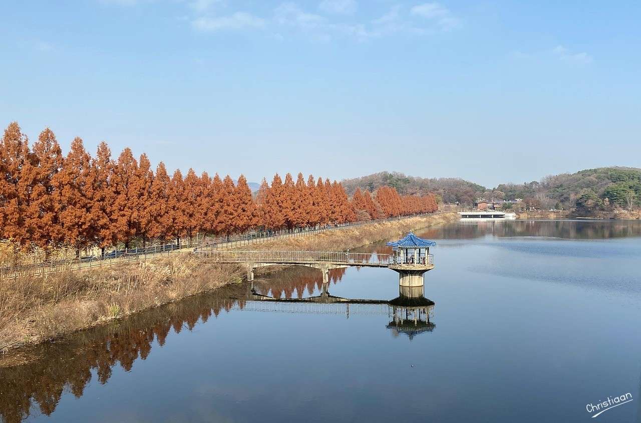 Bridge, più, alberi, molo. puzzle online