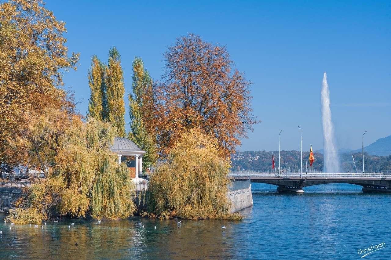 Fontijn, alberi, altro, ponte. puzzle online