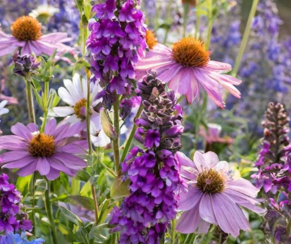 Purple Wildflower Blend puzzle online