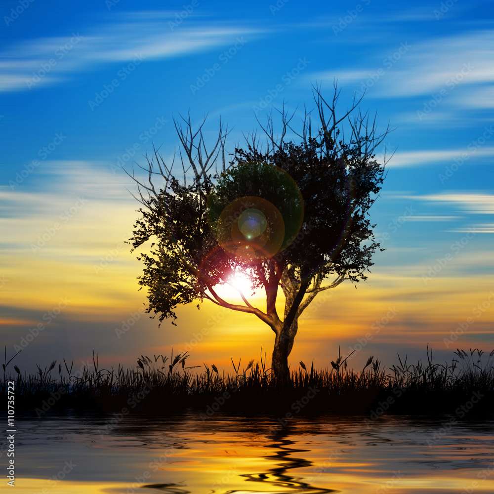 A tree above the water during the sunset online puzzle