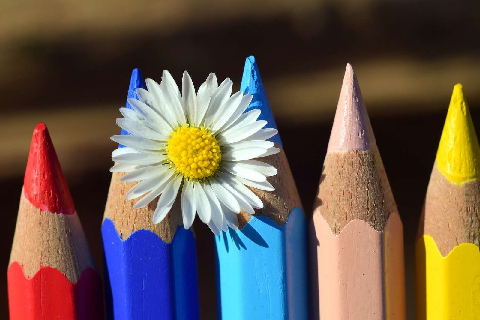 Monde coloré. Kniemirska puzzle en ligne