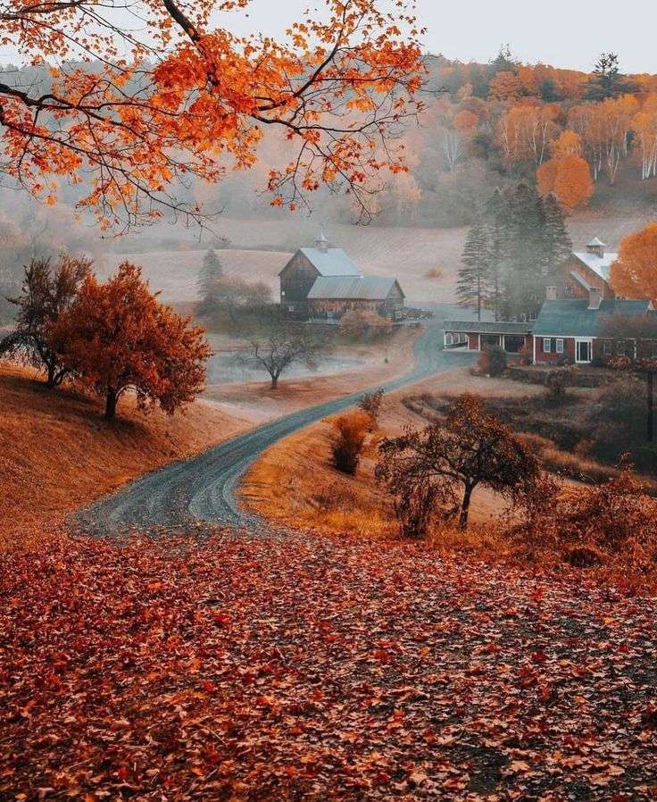 Jesień w USA puzzle online