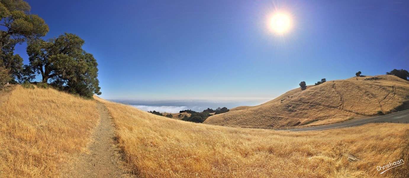 Kalifornia, ocean, natura. puzzle online