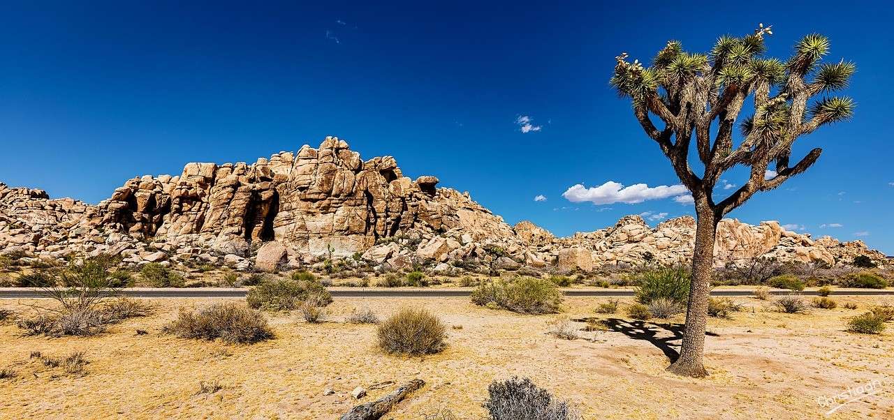 USA, Kalifornia, natura. puzzle online