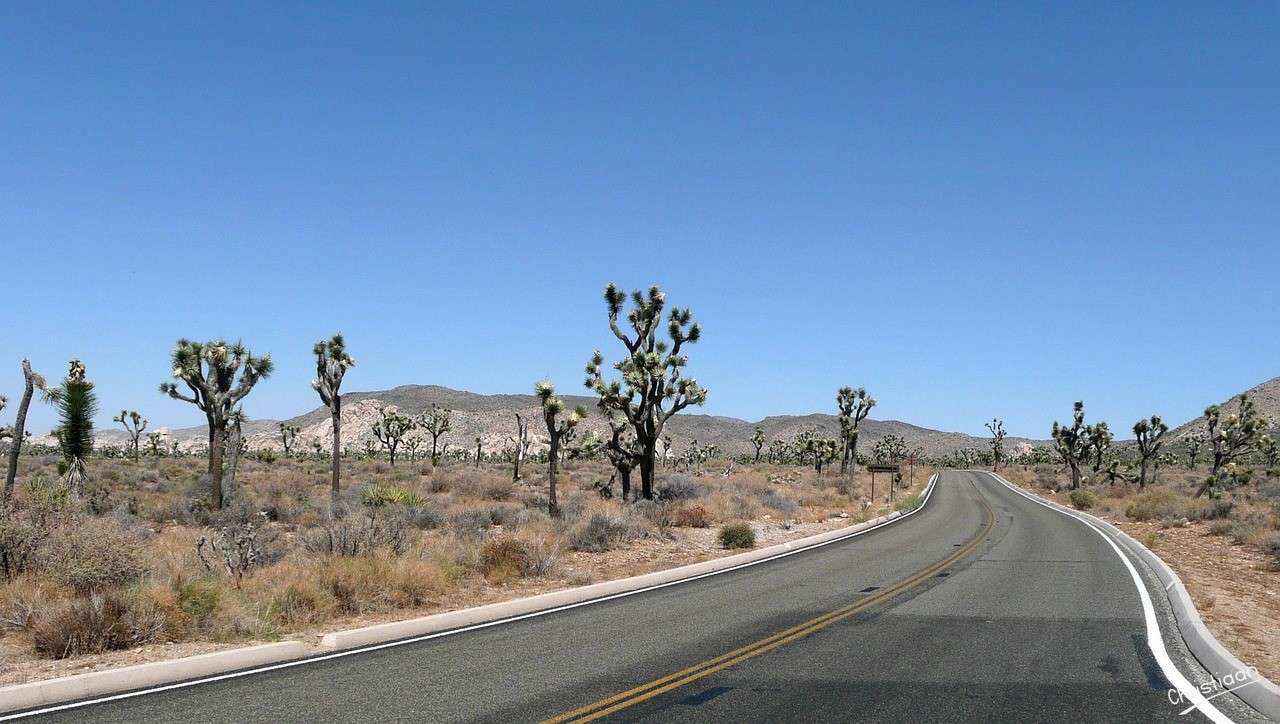 Weg, Joshua Boom, Joshua Tree National Park. puzzle online