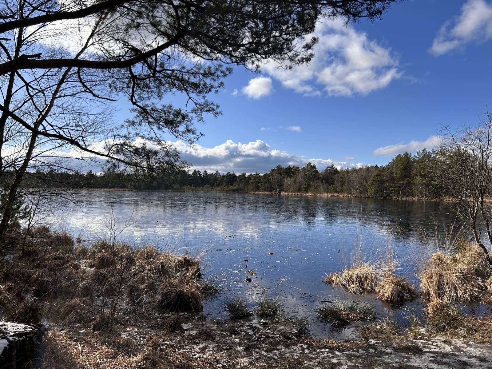 Giornata invernale al lago puzzle online