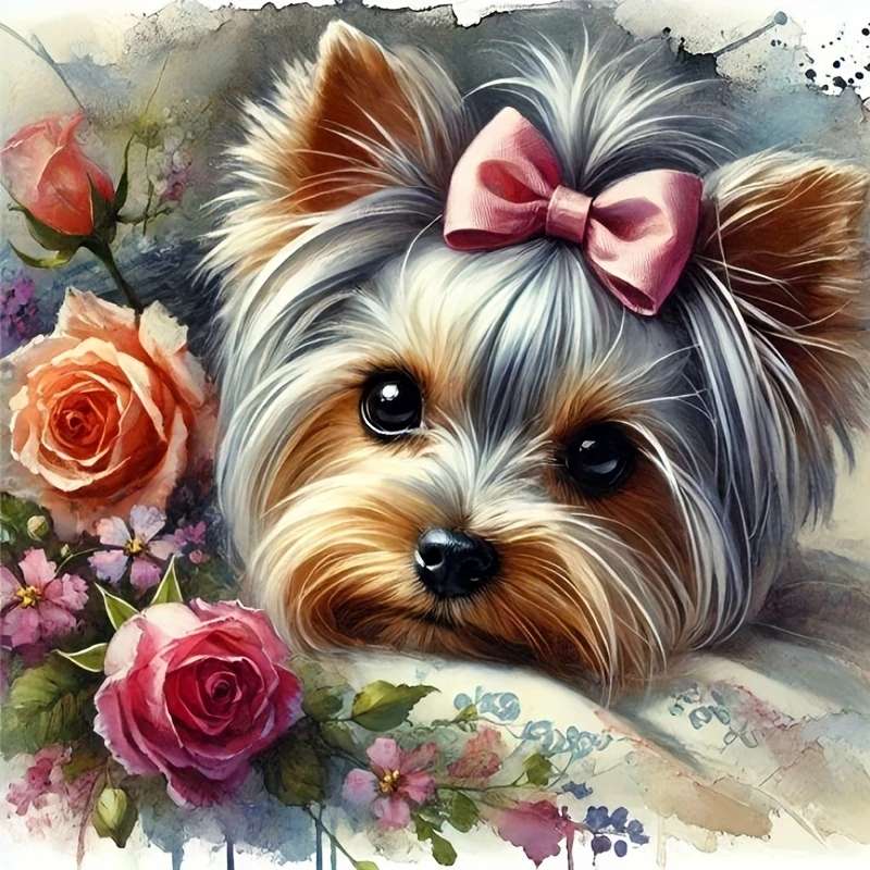 rasowy york z kokardką puzzle online