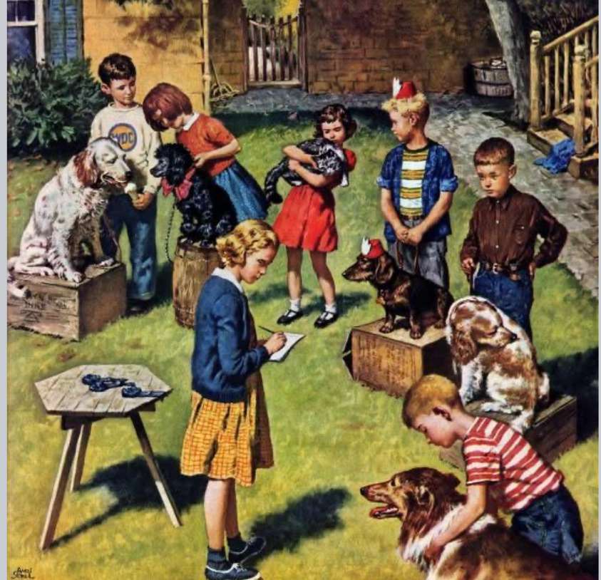 Backyard Dog Show, online puzzle