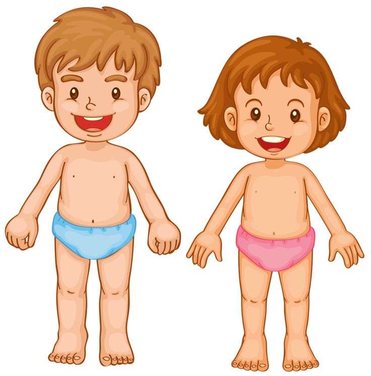 El cuerpo humano online παζλ