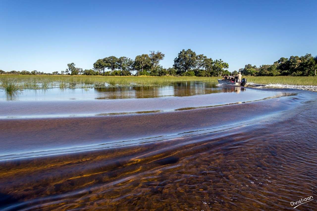 Okavangodelta, Botswana, Afryka. puzzle online