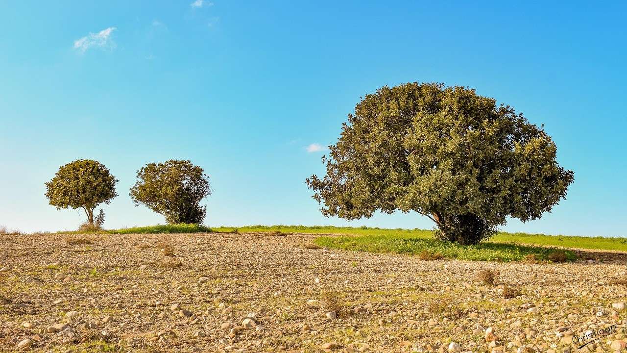 Krajobraz, wiejska, wieś. puzzle online