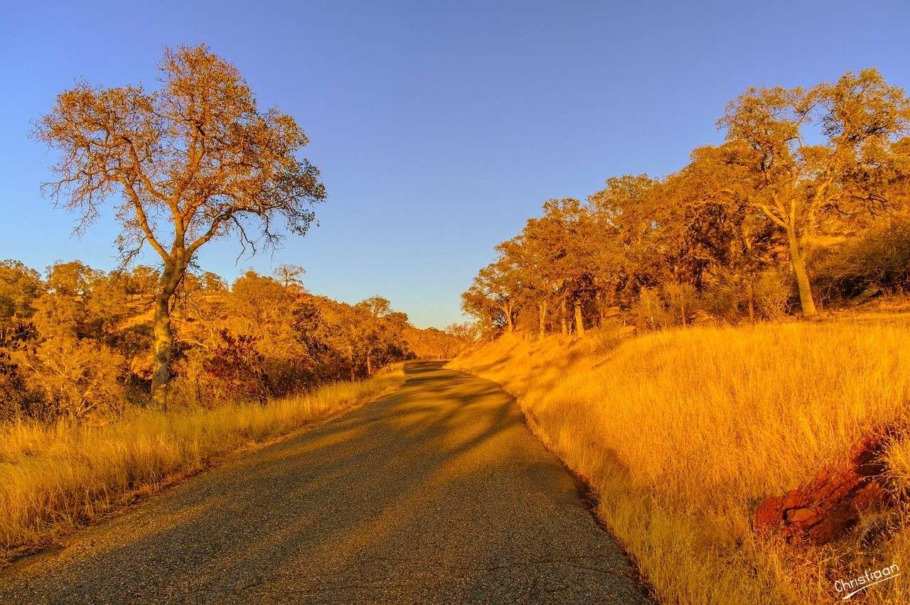 Podróż, Kalifornia. puzzle online