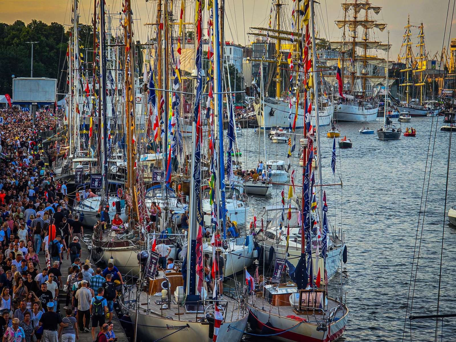 Árbocos erdő Szczecinben online puzzle