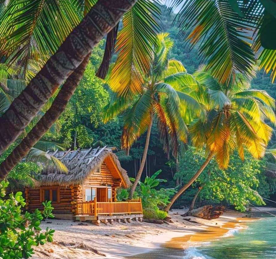 Un paradis tropical puzzle en ligne