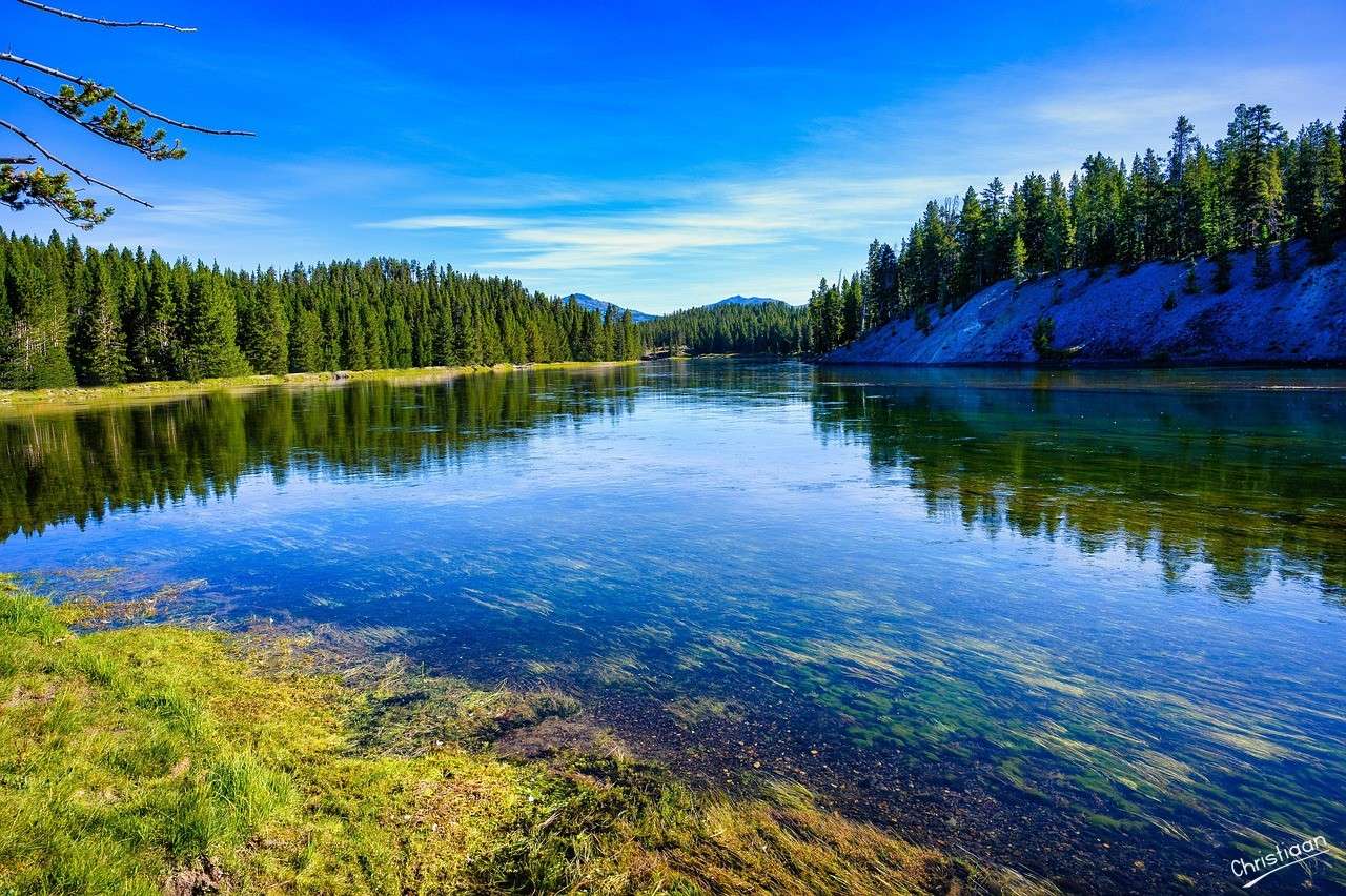 River, Forest, Natura. puzzle online