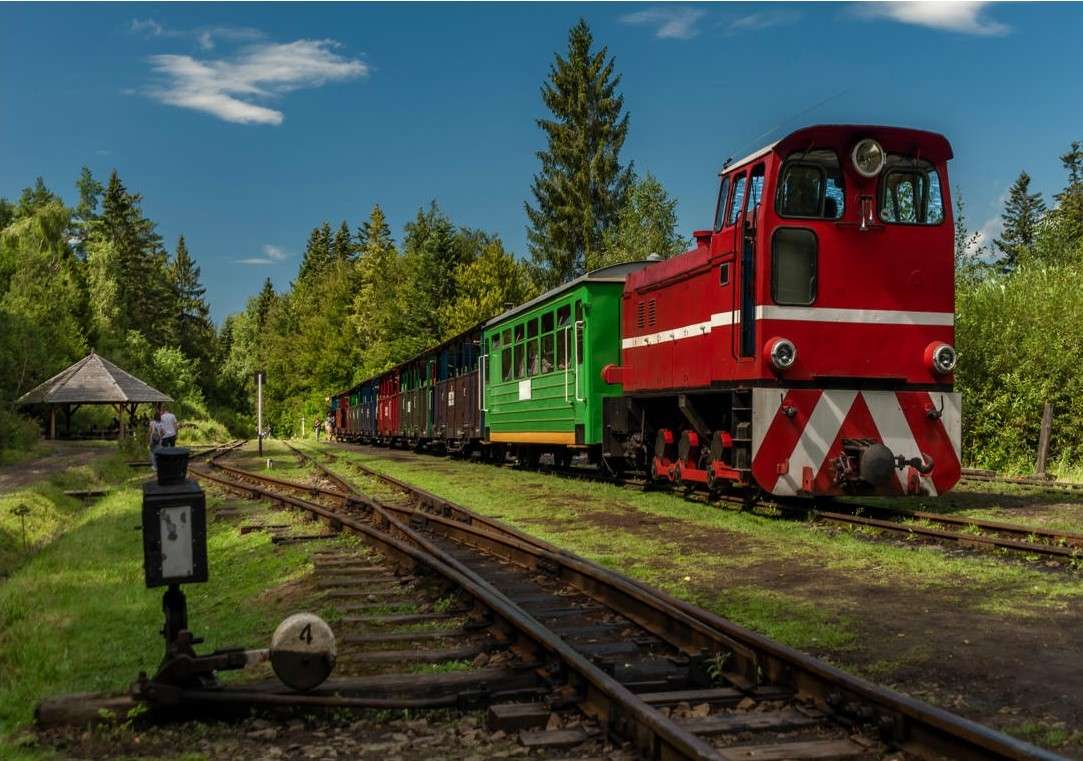Kleurrijke wachtrij van Bieszczady legpuzzel online