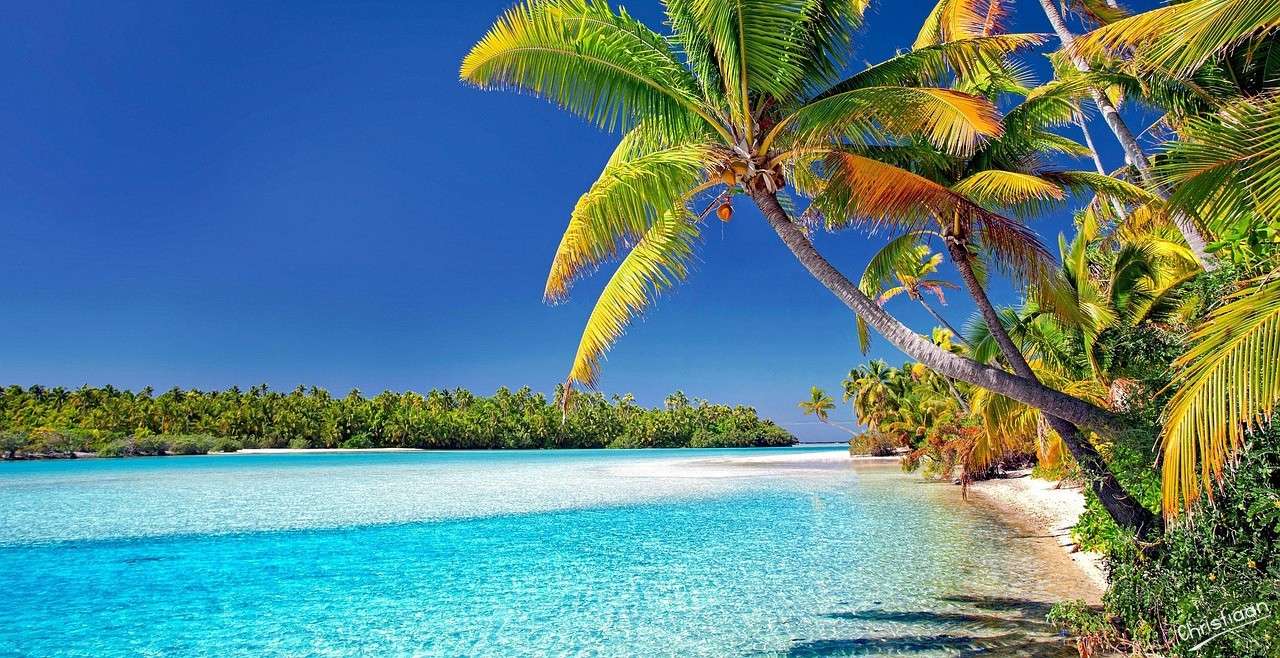 Wyspy kucharza, plaża, palmy. puzzle online