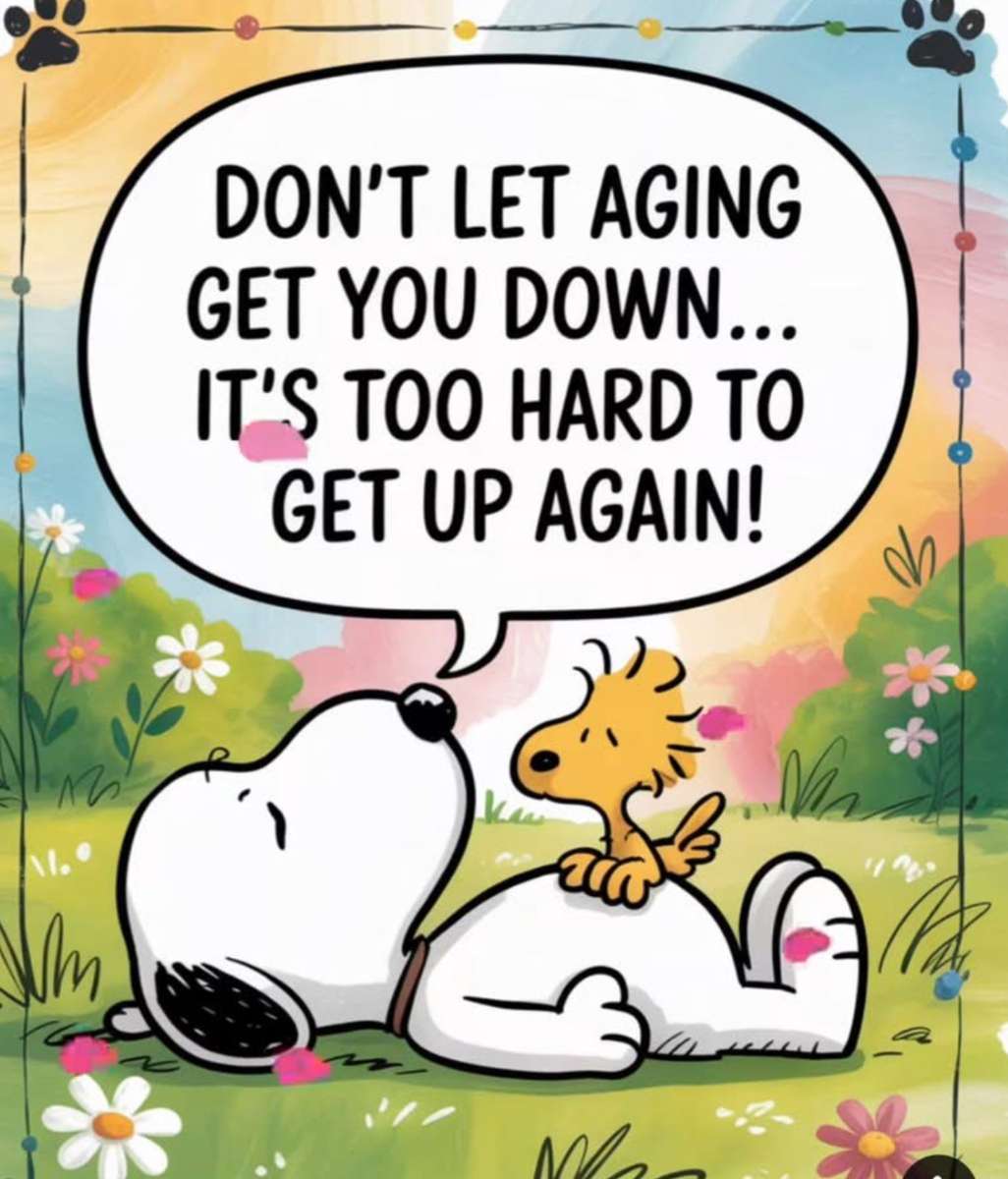 老化させないでください。 オンラインパズル