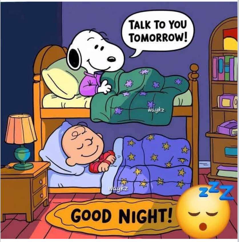 二段ベッドを共有する2人の良い友達 オンラインパズル