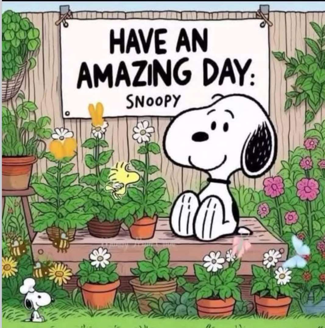 素晴らしい一日を ジグソーパズルオンライン