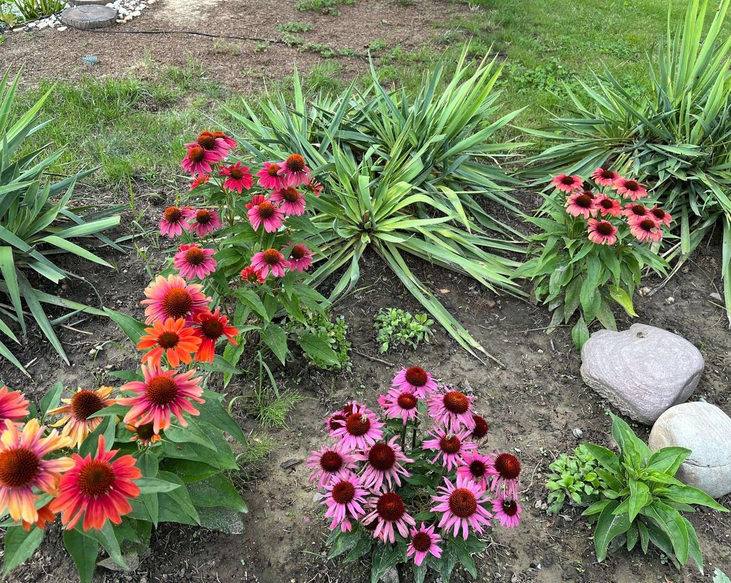 花壇 ジグソーパズルオンライン