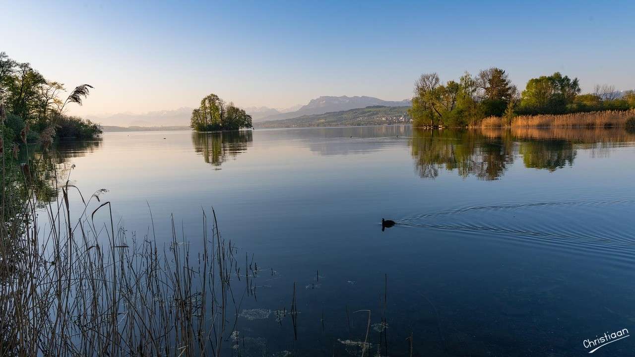 Poranny nastrój, więcej, spokojny. puzzle online