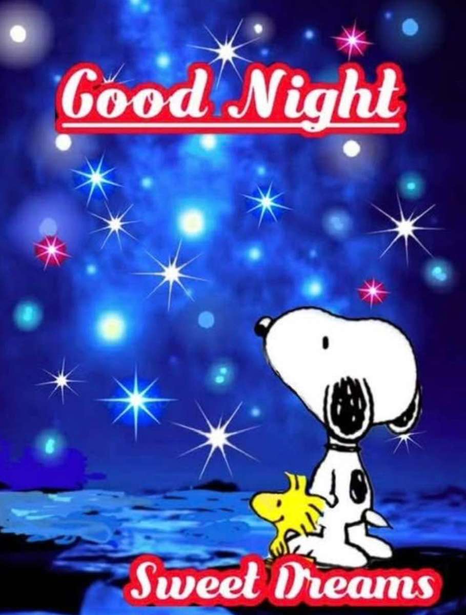 スヌーピーとウッドストックのスターゲイング。 ジグソーパズルオンライン