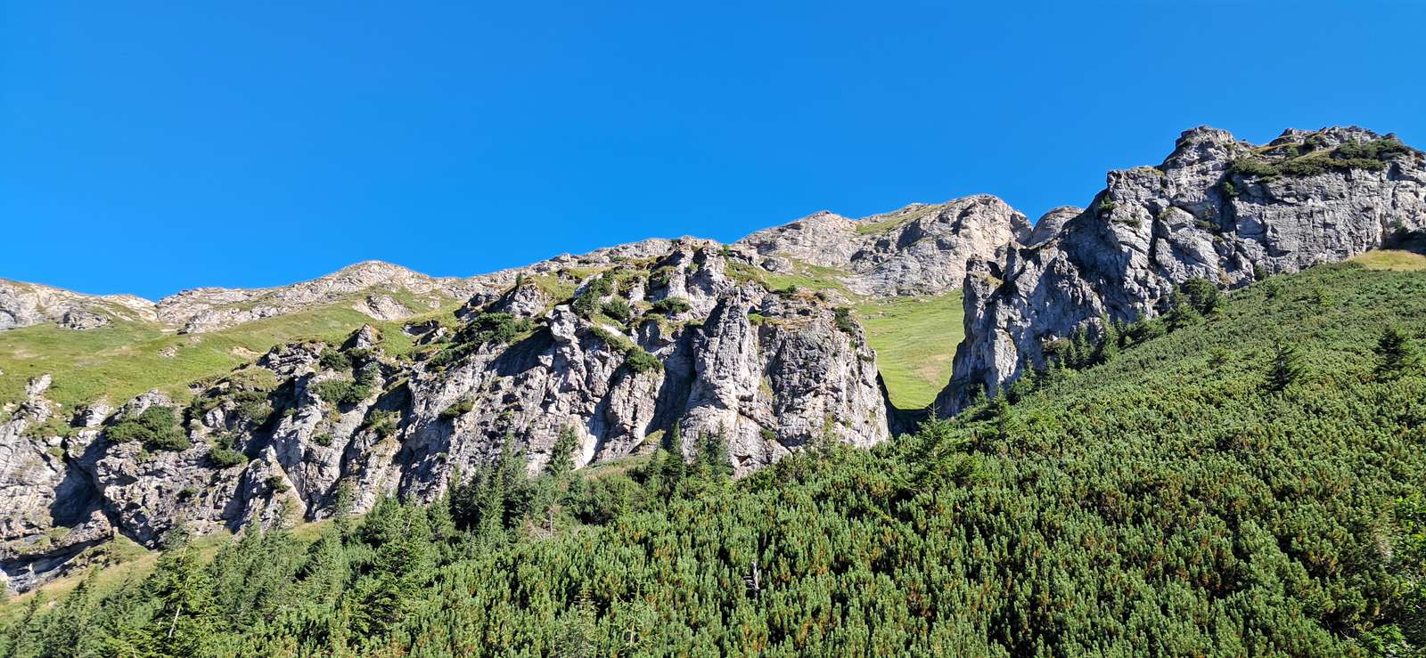 Górski widok puzzle online