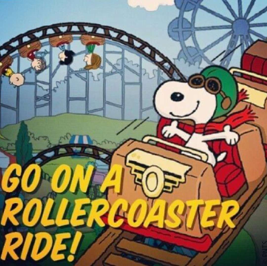 人生はジェットコースターです。乗り心地をお楽しみください！ ジグソーパズルオンライン