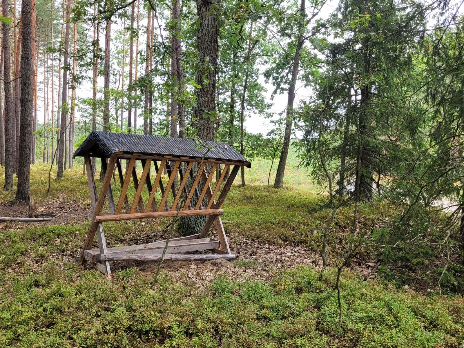 カッコルズのためのパニック ジグソーパズルオンライン