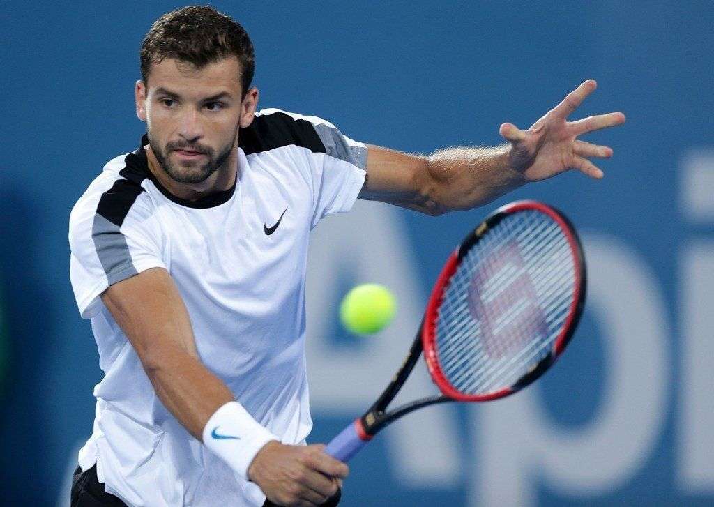 グリゴール・ディミトロフ オンラインパズル