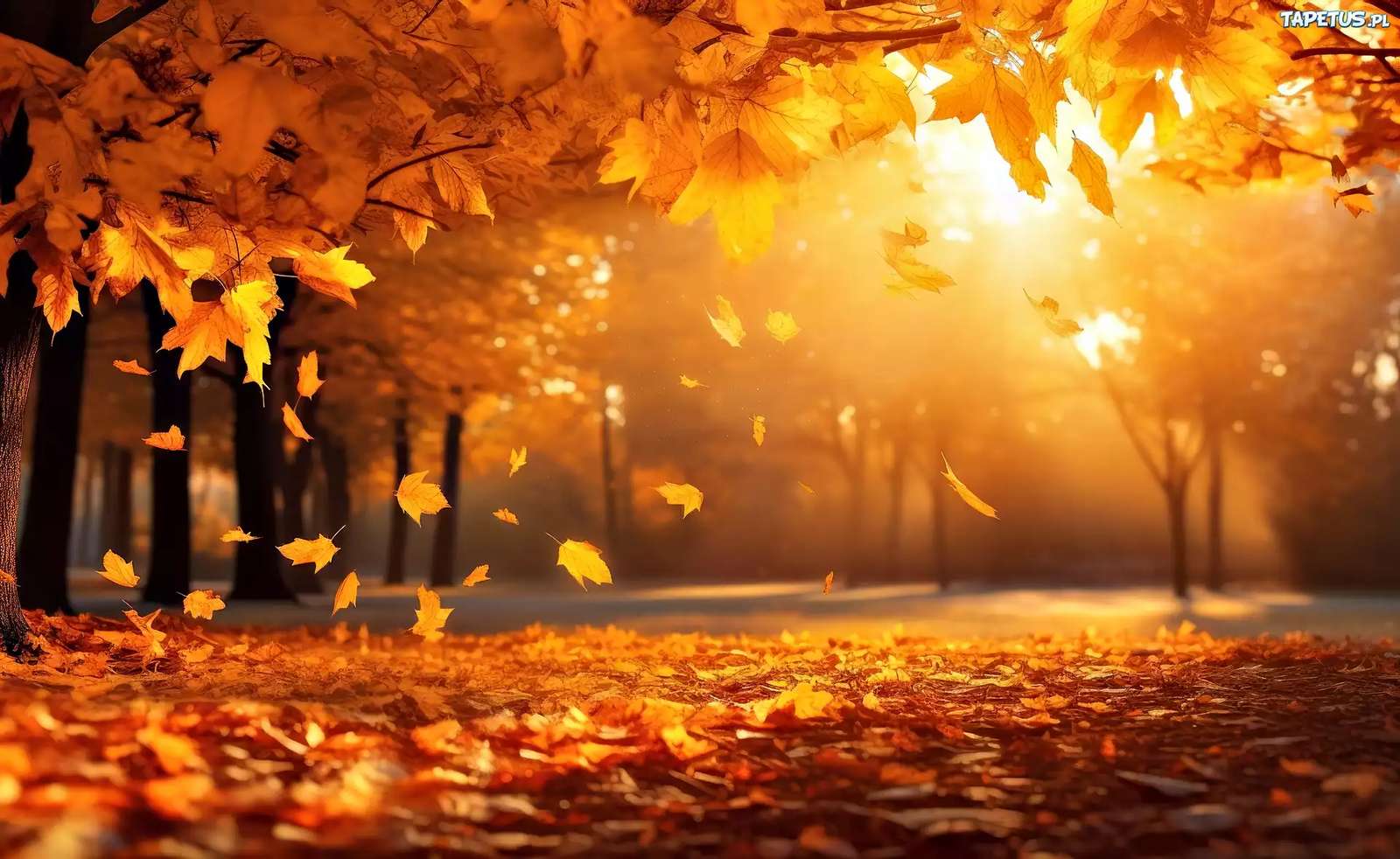 Jesienny Park puzzle online