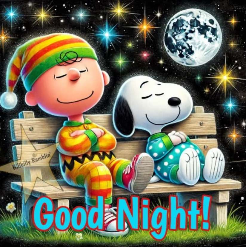 星の下でチャックとスヌープが居眠りします。 オンラインパズル