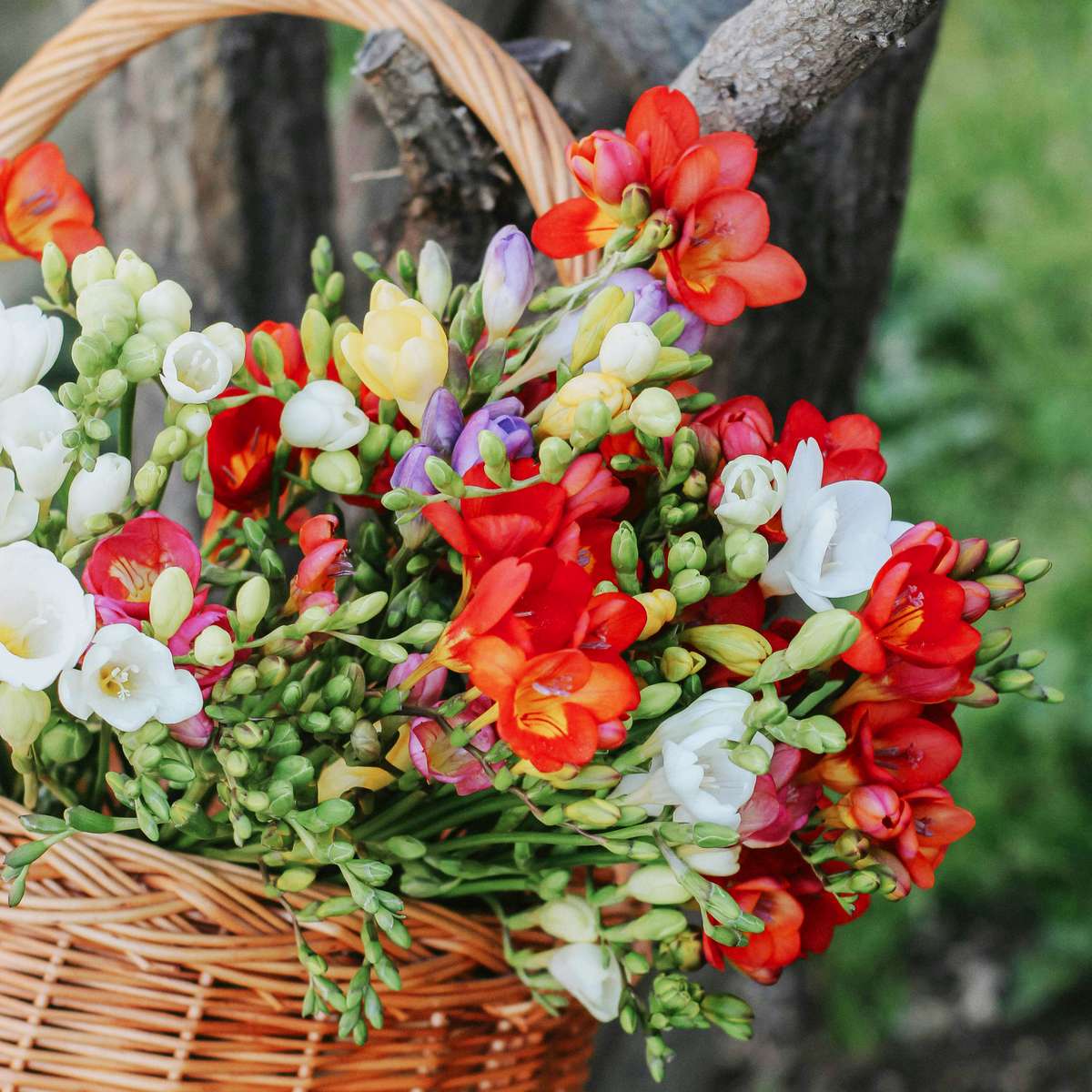 色付きの花のバスケット ジグソーパズルオンライン