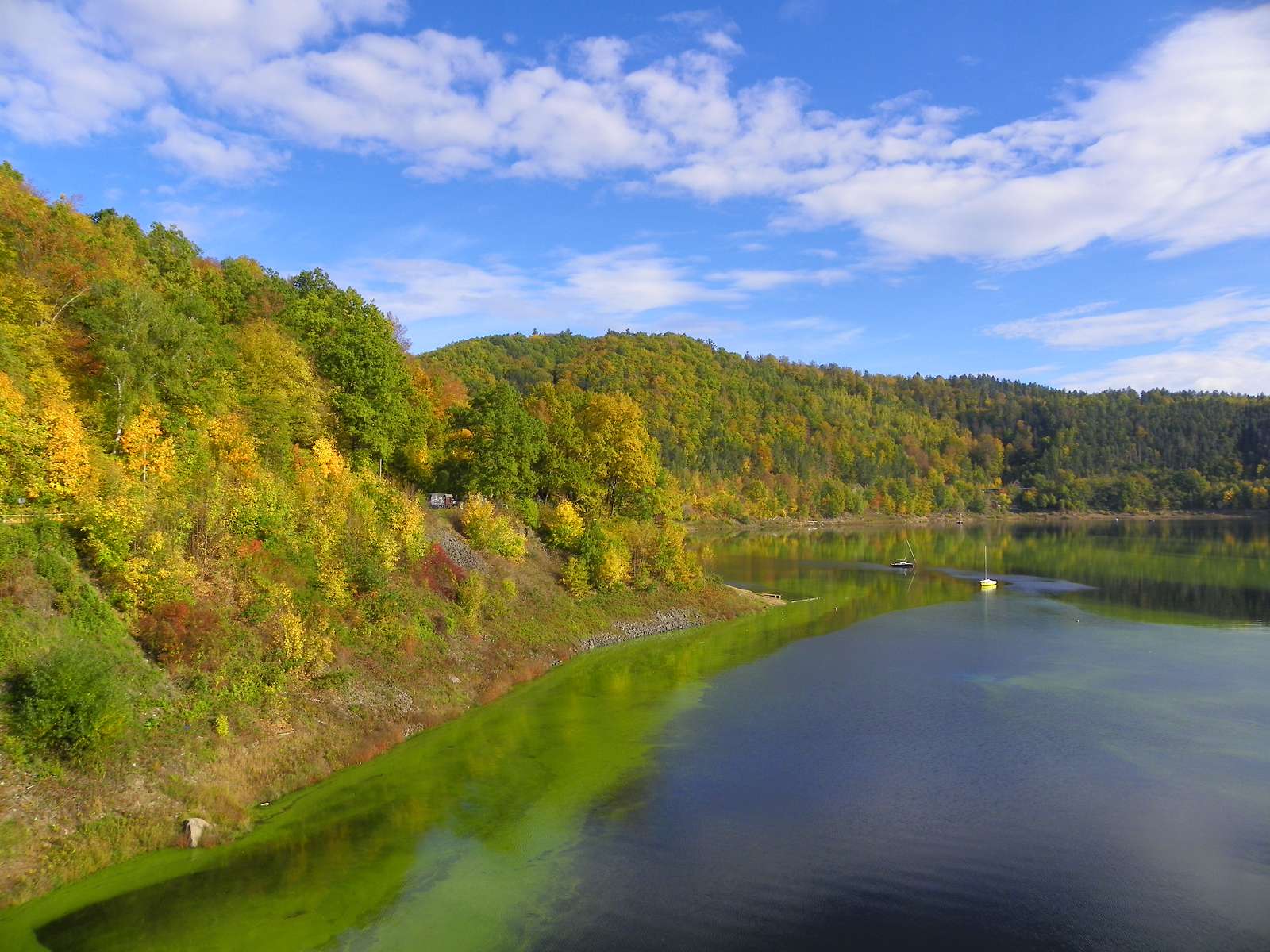 ピルチョウィツェ ジグソーパズルオンライン