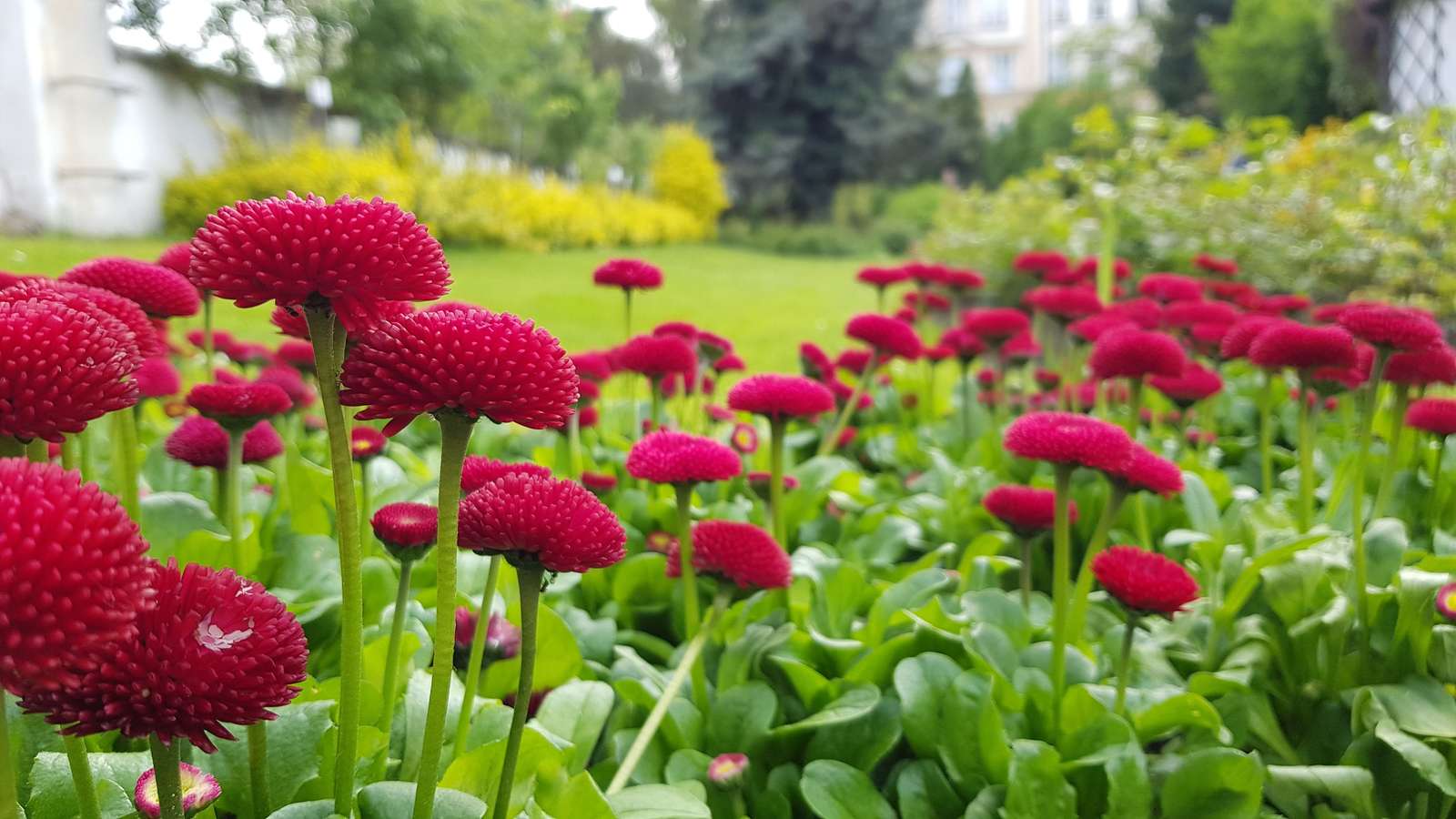 また オンラインパズル