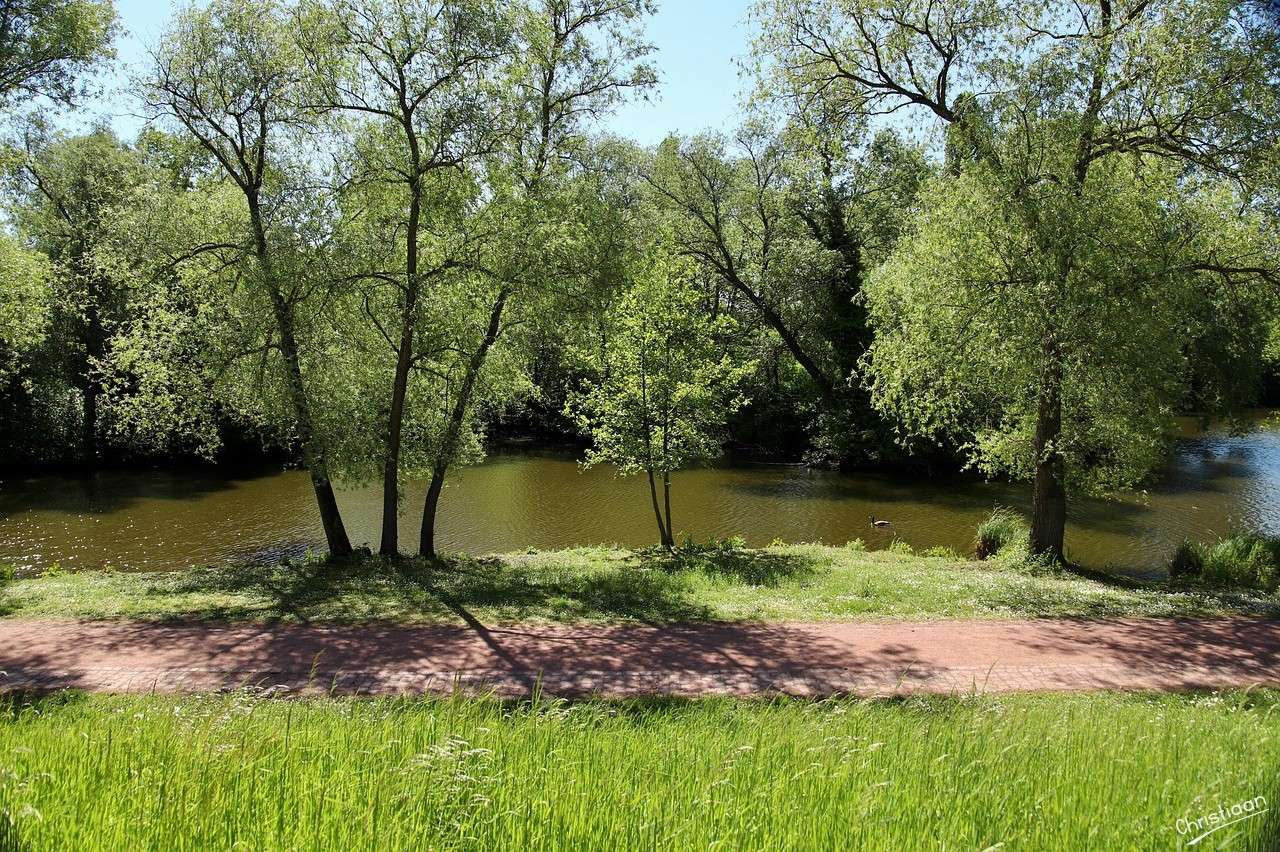 パークランドシャフト、公園、池。 ジグソーパズルオンライン