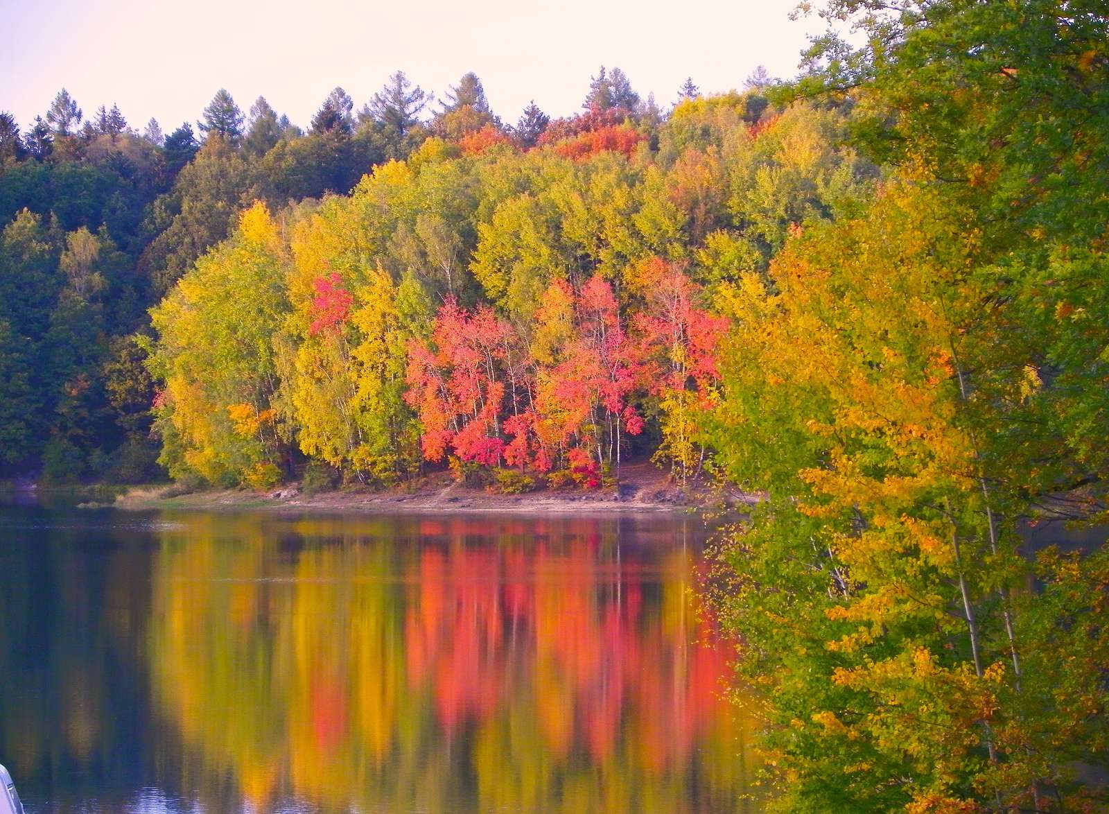 森の秋 ジグソーパズルオンライン