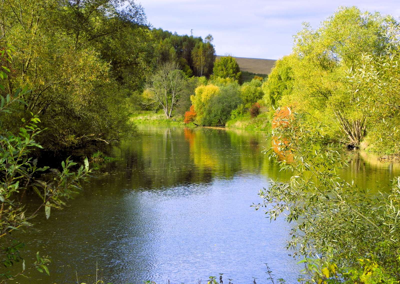 ジードレンチンのビーバー ジグソーパズルオンライン