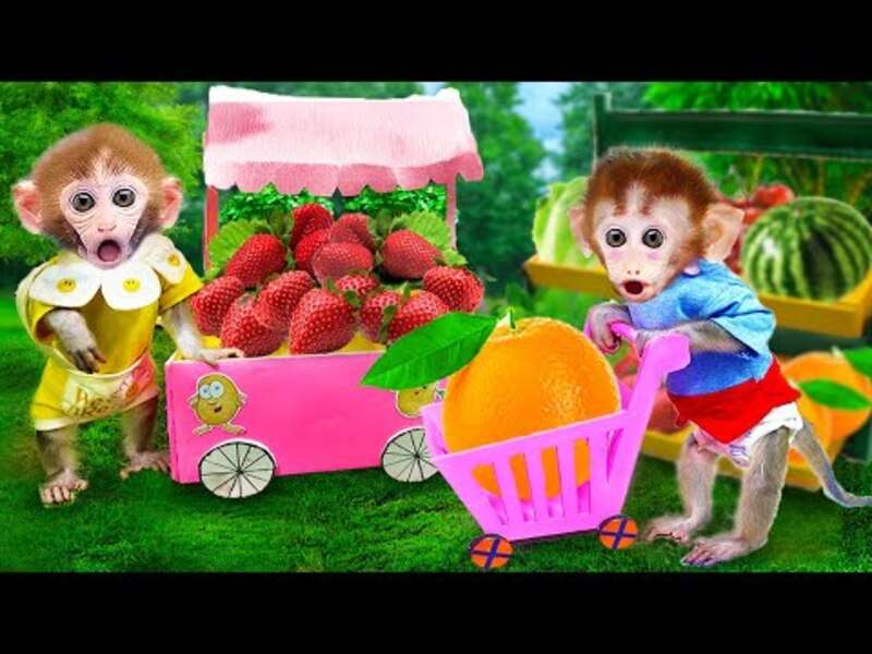 テンダー モニータ ビビ #408 オンラインパズル