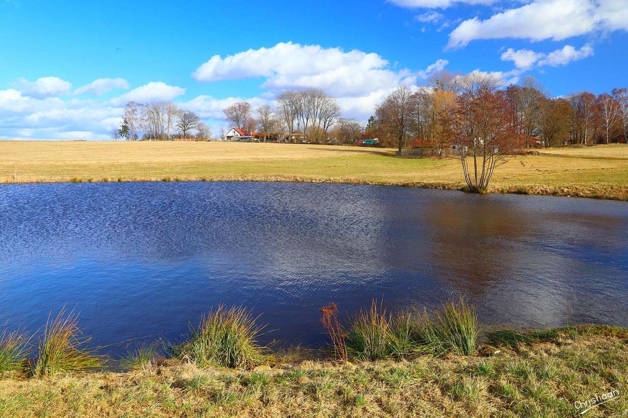 木々、池、湖、田園地帯。 ジグソーパズルオンライン