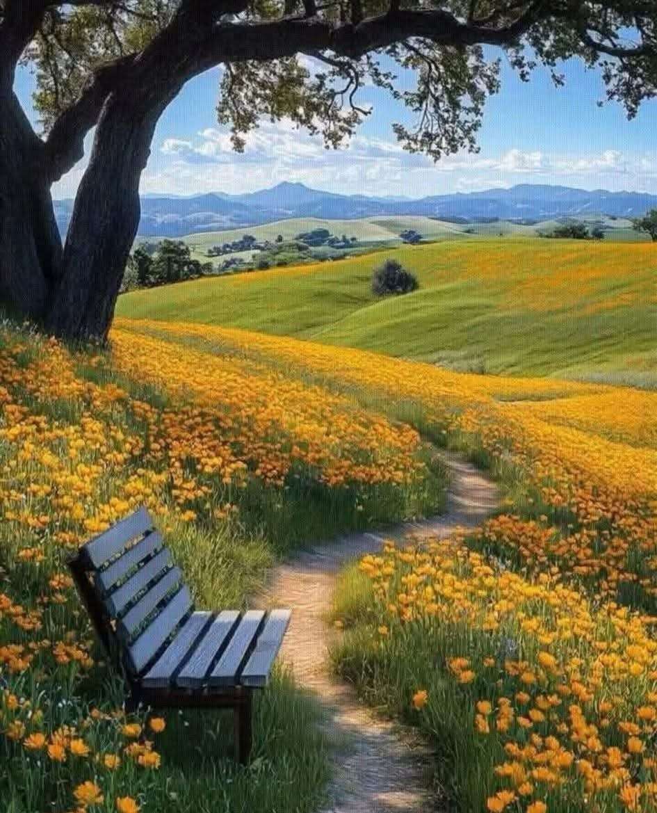 平和の一角 オンラインパズル