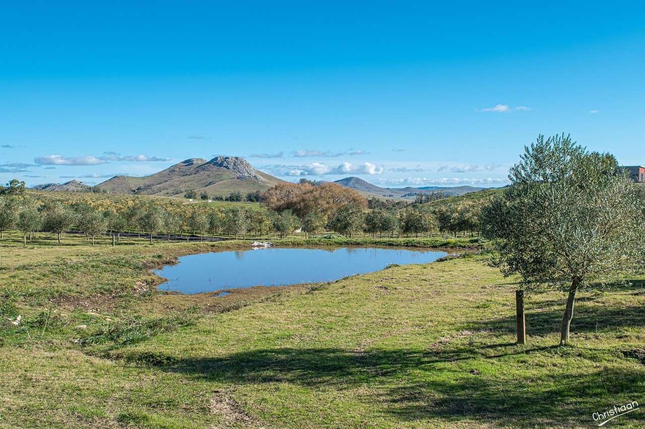 風景、湖、草、木。 オンラインパズル