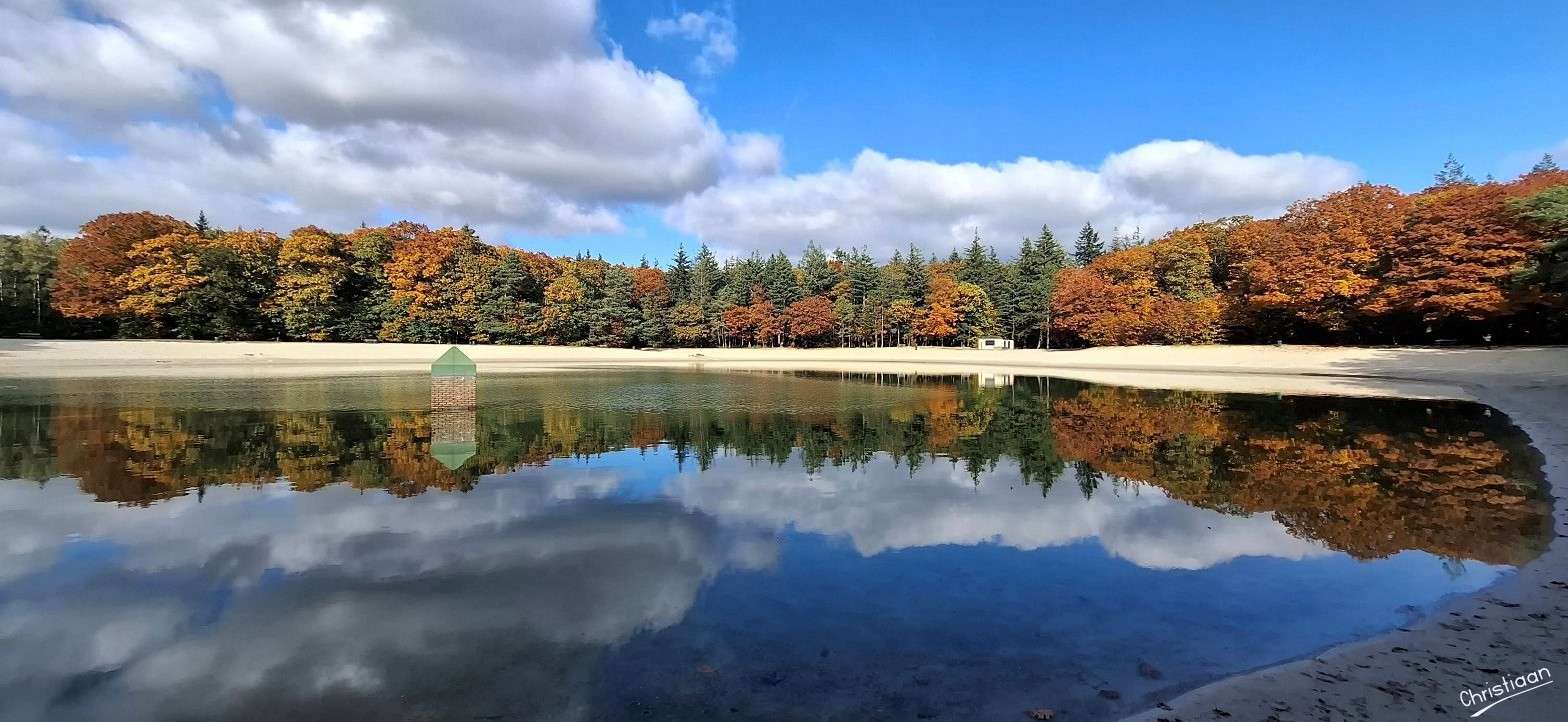 秋の雰囲気を漂わせる「T Loomeer」。 オンラインパズル